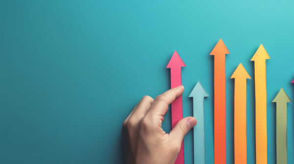 Conseil en développement d’entreprise à Luçon